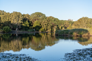 autumn lake reflections in the park at sunset