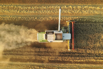 Harvesting of wheat in summer. Harvesters working in the field. Combine harvester agricultural...