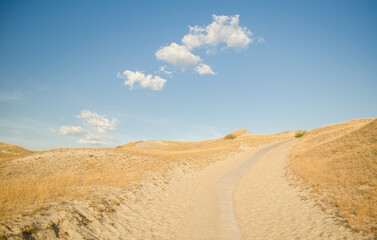 Fototapeta na wymiar Grey dunes in sunny summer day with sand, grass and trail, Lithuania. 