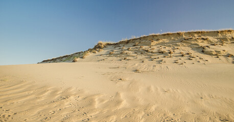 Grey dunes in sunny summer day with sand and grass, Lithuania. 