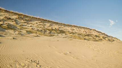 Grey dunes in sunny summer day with sand and grass, Lithuania. 