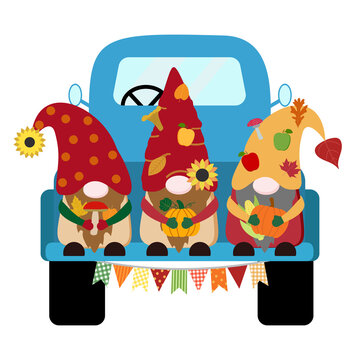Cute harvest fall vector gnomes in a blue truck with orange pumpkins, forest mushrooms, ripe apples, dry fallen leaves. Isolated on white background.