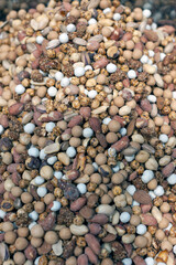 Mixed nuts