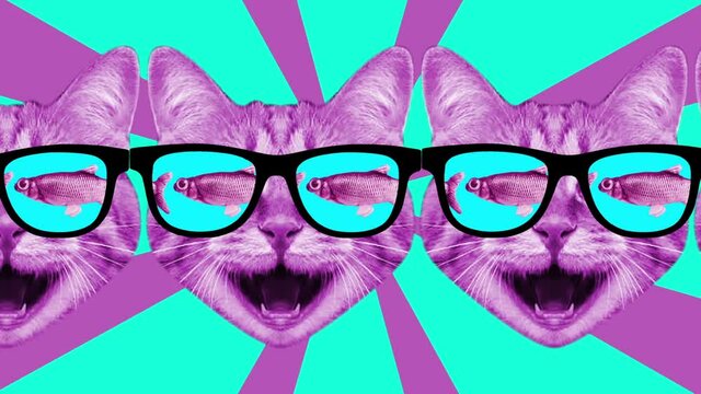 Animated Cat Face. Motion Funny Kitty Background Design.