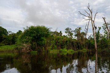 Canal in the national park of Tortuguero with its tropical rainforest along the Caribbean Coast of Costa Rica, Central America.