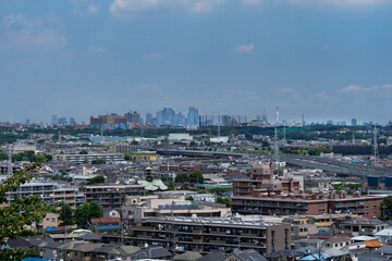 view of Tokyo from hill