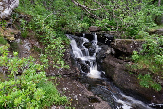 waterfall in the forest
