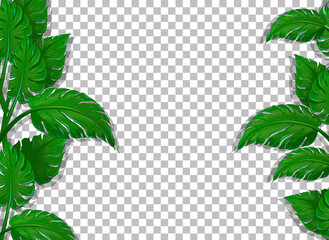 Various tropical leaves on transparent background