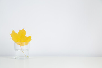 Halloween fall background with maple leaf on the white table with copy space