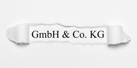 GmbH & Co. KG 