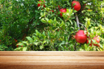 vintage wooden board table in front of pomegranate tree landscape. Product display presentation