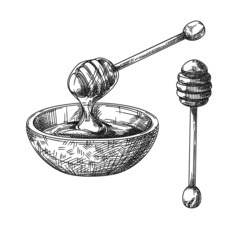 Sketch of a bowl with honey and a wooden honey spoon. Vector - 451577682