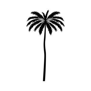 black palm tree vector illustration