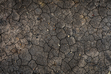Texture of dried cracked earth because of no rain and drought season.
