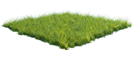 Squared surface patch covered with green grass isolated on white background. Realistic natural element for design. Bright 3d illustration.