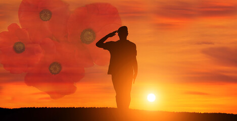 Greeting card for Poppy Day , Remembrance Day . Concept - patriotism, honor