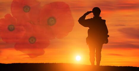 Greeting card for Poppy Day , Remembrance Day . Concept - patriotism, honor