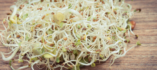 Alfalfa and radish sprouts as healthy addition to sandwiches. Source vitamins and minerals