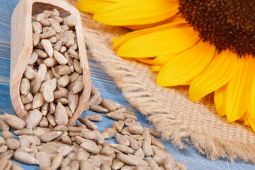 Fototapeta na wymiar Sunflower seeds with wooden scoop and beautiful vibrant flower