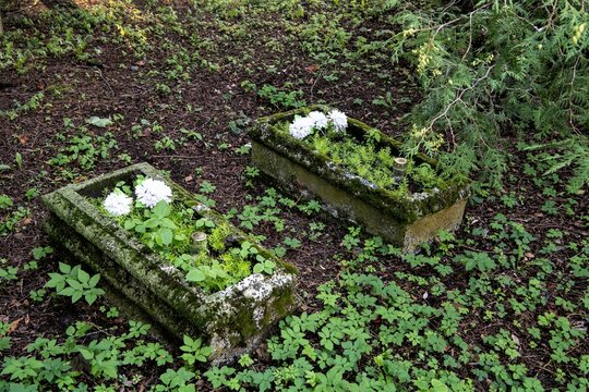 Zwei alte Gr&auml;ber auf dem historischen Friedhof von Minge, heute Minija , einem Ort im Memeldelta in Litauen