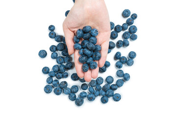 Bluepberry kept in hands isolated on white background.