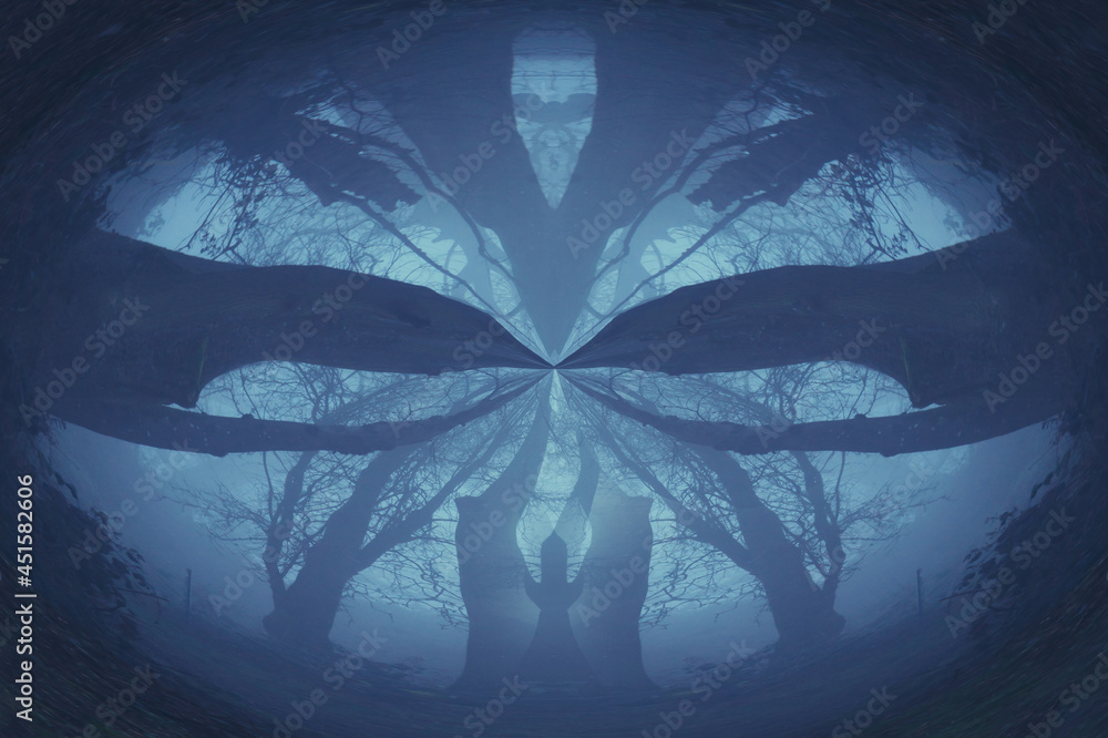 Aufkleber an abstract, moody circular effect. looking up into the sky of an atmospheric forest and branches on
