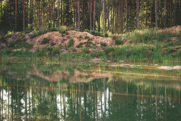 reflection of pine tree forest, sandy pond shore with grass in slallow gravel quarrie water. Evening light in summer	
