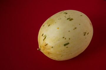 Whole melon fruit on red background. Melon Sugar Baby Matisse cultivar.