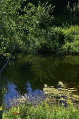 Deep pools of the Aspa River.