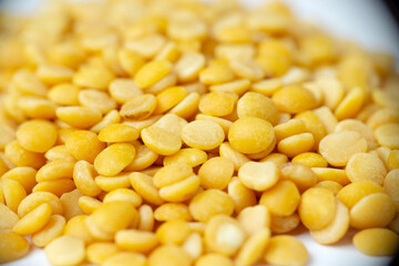 Pigeon pea, Cajanus cajan, Satara, Maharashtra, India