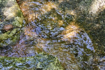Fresh water flowing over the stones in the creek.