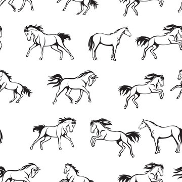 horse pattern, horse realistic, black and white, pattern for decoration, packaging and printing