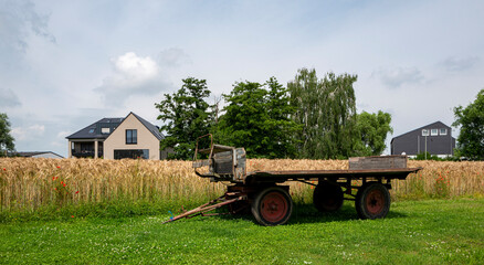 Fototapeta premium Kornfeld an einem Bauernhof