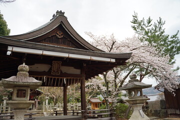 Fototapeta premium temple of heaven