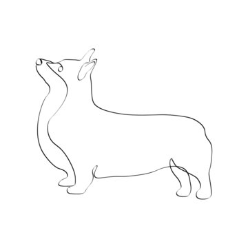 Continuous one line drawing with Welsh Corgi Pembroke. Contemporary vector illustration on white background. Black line art on white background.