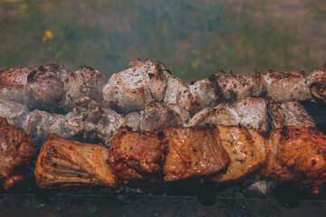 grilled meat on the grill