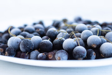 blackcurrant berries, frozen berries on a white plate