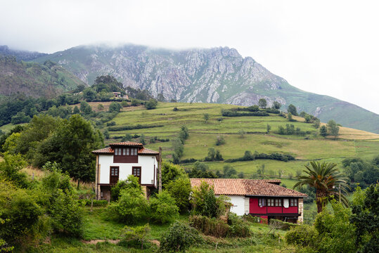 Scenic view of valley in Asturias with traditional farm buildings and green meadows a foggy day. La Goleta, Pilona, Spain