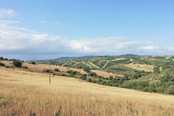 panoramic view of the landscape of the hills of the Tuscan Maremma