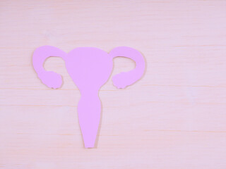 uterus shape made frome paper on pink background. Awareness of uterus illness such as endometriosis, PCOS, STDs or gynecologic cancer.