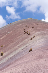 Rainbow Mountain, is a mountain in the Andes of Peru with an altitude of 5,200 metres  above sea...