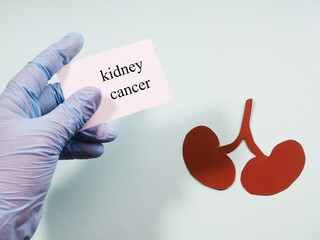 A hand in a medical glove holds a sign with the inscription "kidney cancer" on the background of the silhouette of the kidneys