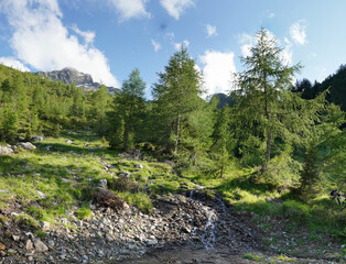 Bei Matrei in Osttirol: Wanderung auf den Zunig