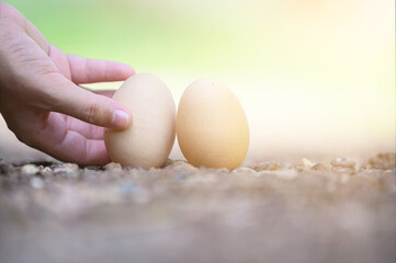 Asia woman's hand holds a pair of chicken eggs in blurred background of farm