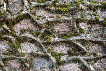 Stone wall texture with moss on it