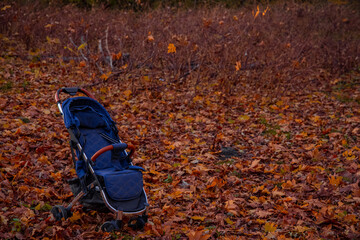 baby carriage in October outdoor park with orange falling leaves nature environment