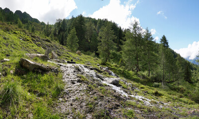 Bei Matrei in Osttirol: Wanderung auf den Zunig