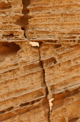 Close-up detail of sandstone rock shapes and lines at Punta de Sa Gavina in Ses Salines Natural...