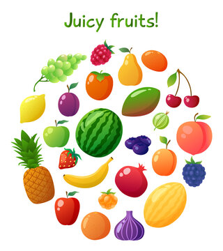 Collection of the clip art fruits. Vector illustration of food