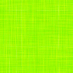 Green background of arbitrary lines. Texture for your design